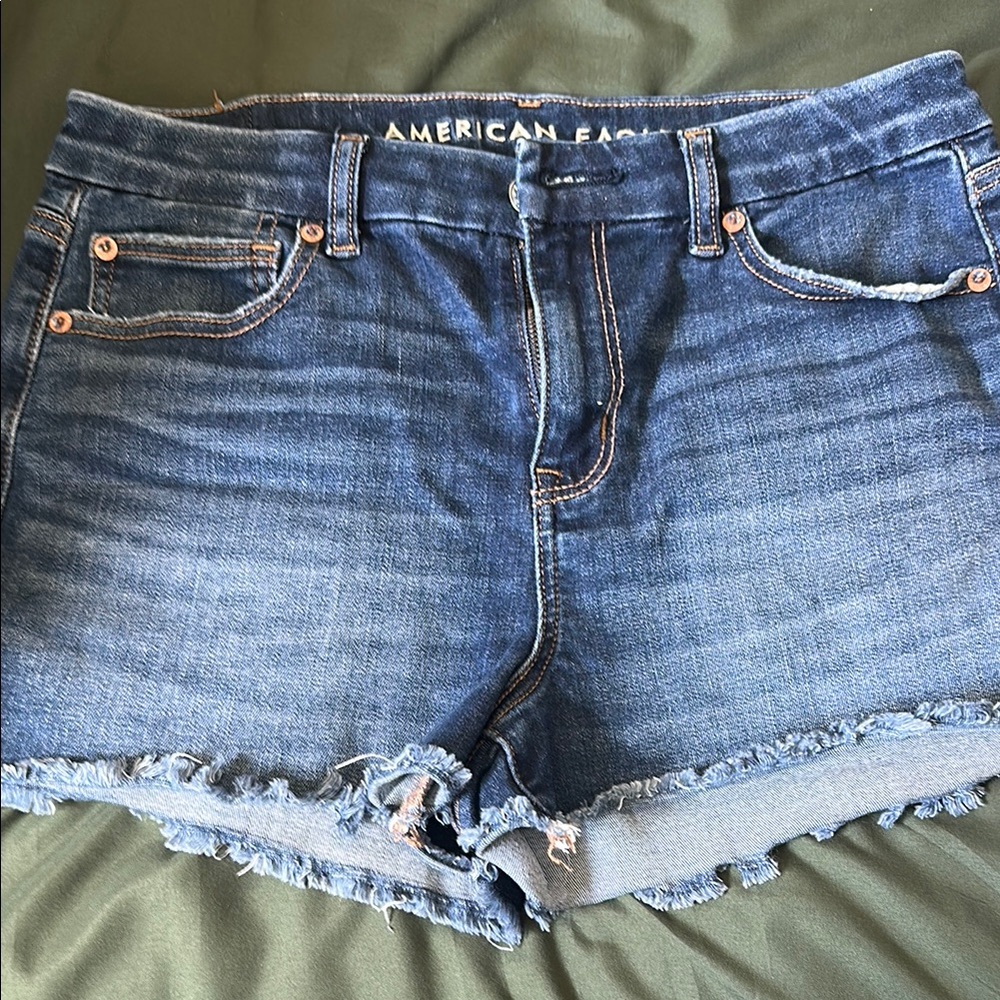 American Eagle Outfitters Women's Blue Denim Shorts